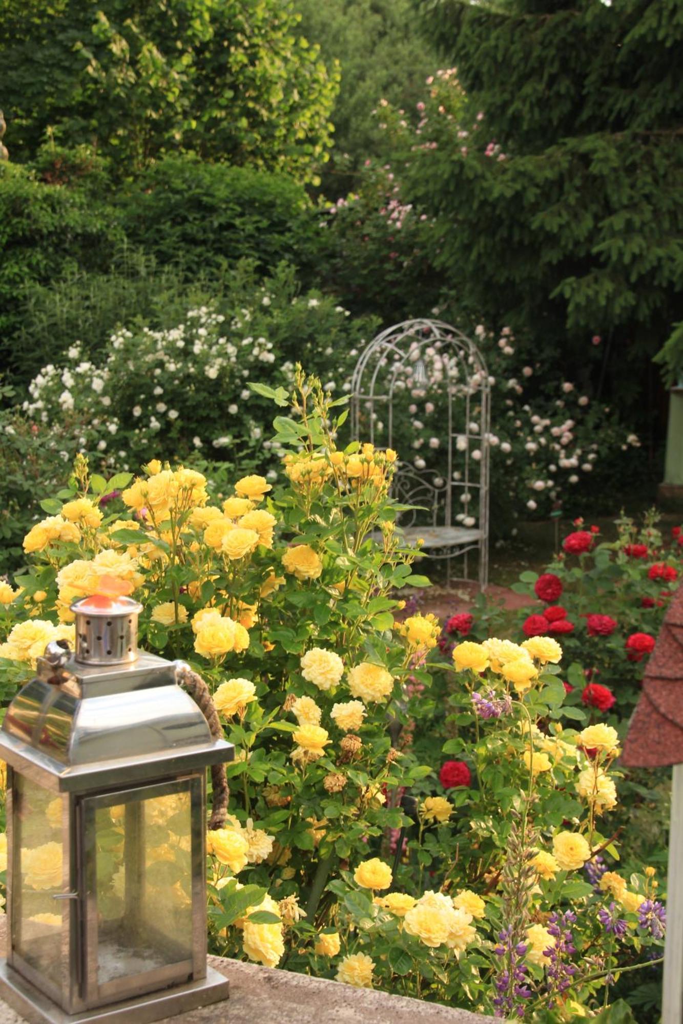 B&B Dressings Traumgarten ไคเซอร์สเลาเทิร์น ภายนอก รูปภาพ